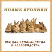 Витамины ветеринарные для кроликов, консультация, продажа