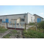 Завод по производству безалкогольных напитков и минеральных вод  а также уксуса во Львовской области фото