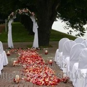 Оформление стола для регистрации на свадьбу, тканью и живыми цветами фотография