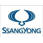Проекция логотипа SsangYong фотография