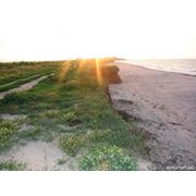 Земельный участок на берегу Азовского моря фото