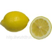 Лимон “Ламас“ фото