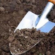 Подготовка почвы для посадки сада цена