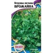 Петрушка листовая Урожайна 16г фото