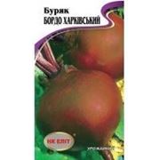 Свекла Бордо Харьковская 3г фото