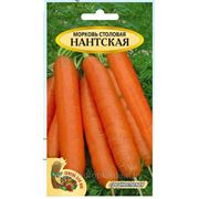 Морковь Нантская фото