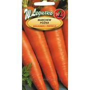 Морковь Берликумер 2 - Перфекция фото