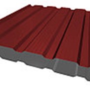 Профнастил НС-21 0,5мм Красно-коричневый RAL3011 фотография