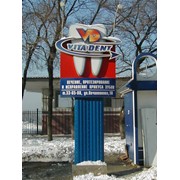 Стеллы фото