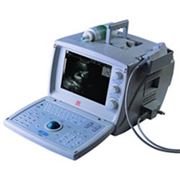 Система портативная ультразвуковая диагностическая DP 1100 производства фирмы Mindray (Китай) фотография