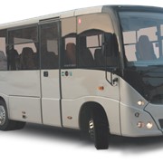 Автобус туристический МАЗ 241 фото