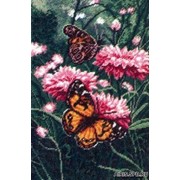 Набор для вышивания крестиком Hobby&Pro 636 “Бабочки“ 28см.*19см. фото