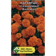 Бархатцы отклонённые Валенсия серия Бонита