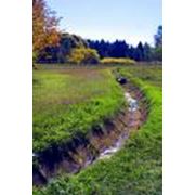 Полезащитная агролесомелиорация земель фото