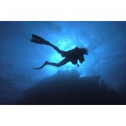 Подводная фотосъемка и видеосъемка Underwater Photographer фотография