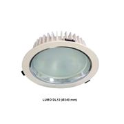 Светильник светодиодный встраиваемый LUMO DL12 (O240 mm) фотография