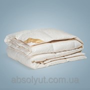 Одеяло ARYA Penelope Dauny с гусиным пером 200x220 см. 1250161 фотография