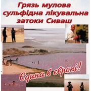 Сивашские грязи купить в Украине Грязи лечебные купить оптом в Украине 1 кг