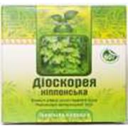 Диоскорея ниппонская лекарственное растение лекарственная трава экстракты лекарственных трав купить
