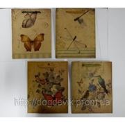 Пакет подарочный бумажный оптом “Бабочки и птички“ фото