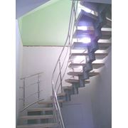 Лестницы хребтовые фото