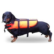 Спасательный жилет для собак фотография
