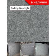 Граниты серые Padang Grey Light Купить (продажа) Цена Украина Оптом