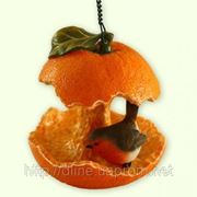 Годівниця “Апельсин з пташкою“ фото