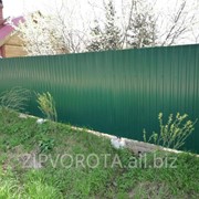 Забор из профнастила RAL 6005 темно-зеленый