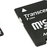 Карта памяти SD 64GB Class 10 U1 Transcend TS64GSDU1 фото