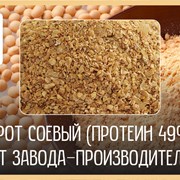 Шрот соевый в Шымкенте (АСВ 49% и 51%) фото