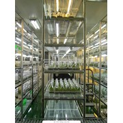 Услуги медицинских научно-исследовательских институтов фото