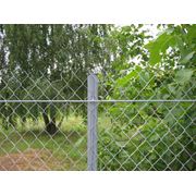Сетка заборная для вьющихся растений. Сетка-рабица оцинкованная 40х40 (10х1.5м) от производителя Киев Украина