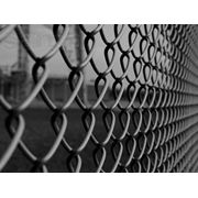 Сетка рабица заборная. Сетка-рабица оцинкованная 50х50х18мм (10х15м) Киев Украина фото