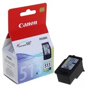 Картридж Canon CL-513 (2971B007) для Canon MP240/MP260/MP480, цветной фотография