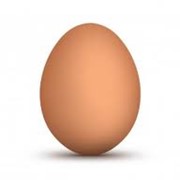 Яйца фото