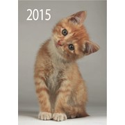 Календар кишеньковий Риже кошеня фото