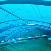 Навесы для бассейнов из поликарбоната фото