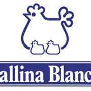 Бульоны Gallina Blanca в асс-те