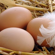 Яйца куриные диетические домашние