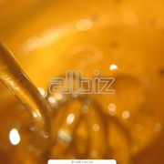 Мёд из разнотравья оптом