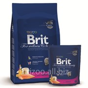Сухой корм для кошек Brit Premium Cat Adult Salmon 0,3 кг фотография