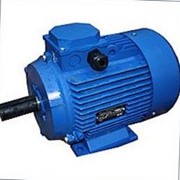 Общепромышленные Электродвигатели 5АИ 100 L4 фото