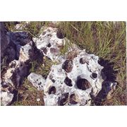 Природный ландшафтный камень «Ай – Петри» Камень туф известковый фото