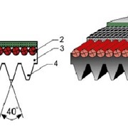 Ремень поликлиновый ТУ 38 105 763-89 фото