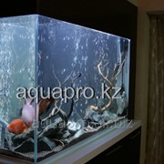 Изготовление аквариума фото
