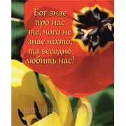 Міні-листівка: Бог знає про нас те, чого не знає ніхто, та всеодно любить нас! № 164 фото