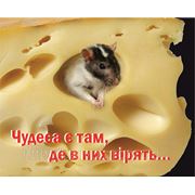 Міні-листівка: Чудеса є там, де в них вірять... # 117 фото