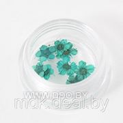 Сухоцветы 1 шт SC-035 фото
