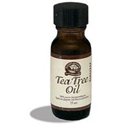 Tea Tree Oil (Маслo чайного дерева)